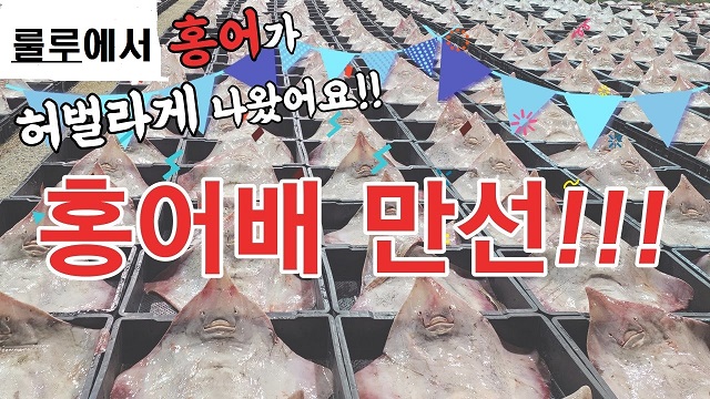 헤드라인.jpg